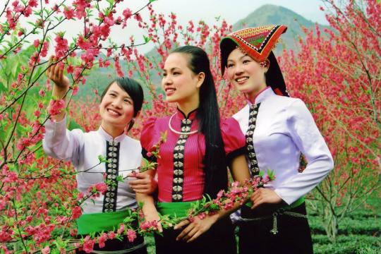 Văn hóa bản địa ở các nước Đông Nam Á lục địa