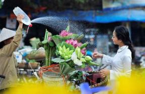 Tìm hiểu về “văn hóa”